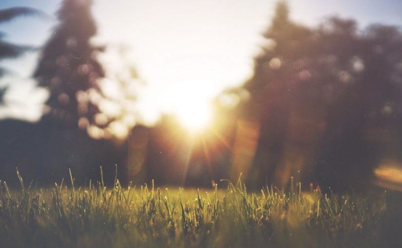 beneficios de tomar el sol